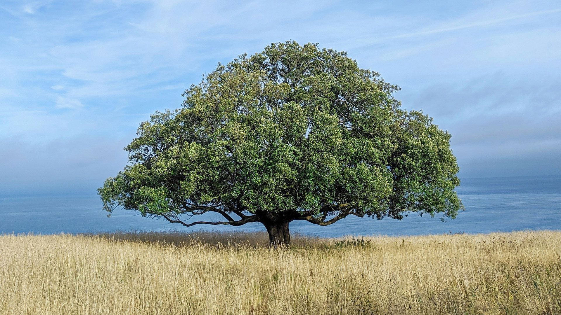 公司注册资金增至100万元，夯实发展基础